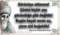 /album/hz-mevlana-resimli-sozler/imagesca1v0674-jpg/